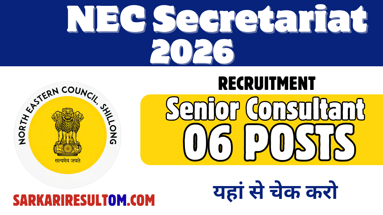 NEC Secretariat Sr Consultant 2026 Recruitment out for 06 Posts Apply Offline