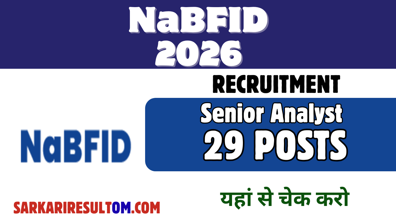 NaBFID Recruiment 2026 Senior Analyst out for 29 Posts Apply Online